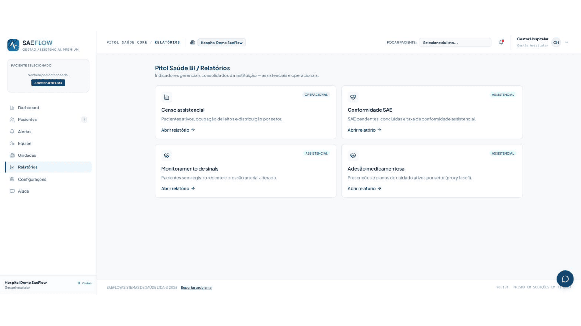 Pitol Saúde — catálogo de relatórios gerenciais e assistenciais